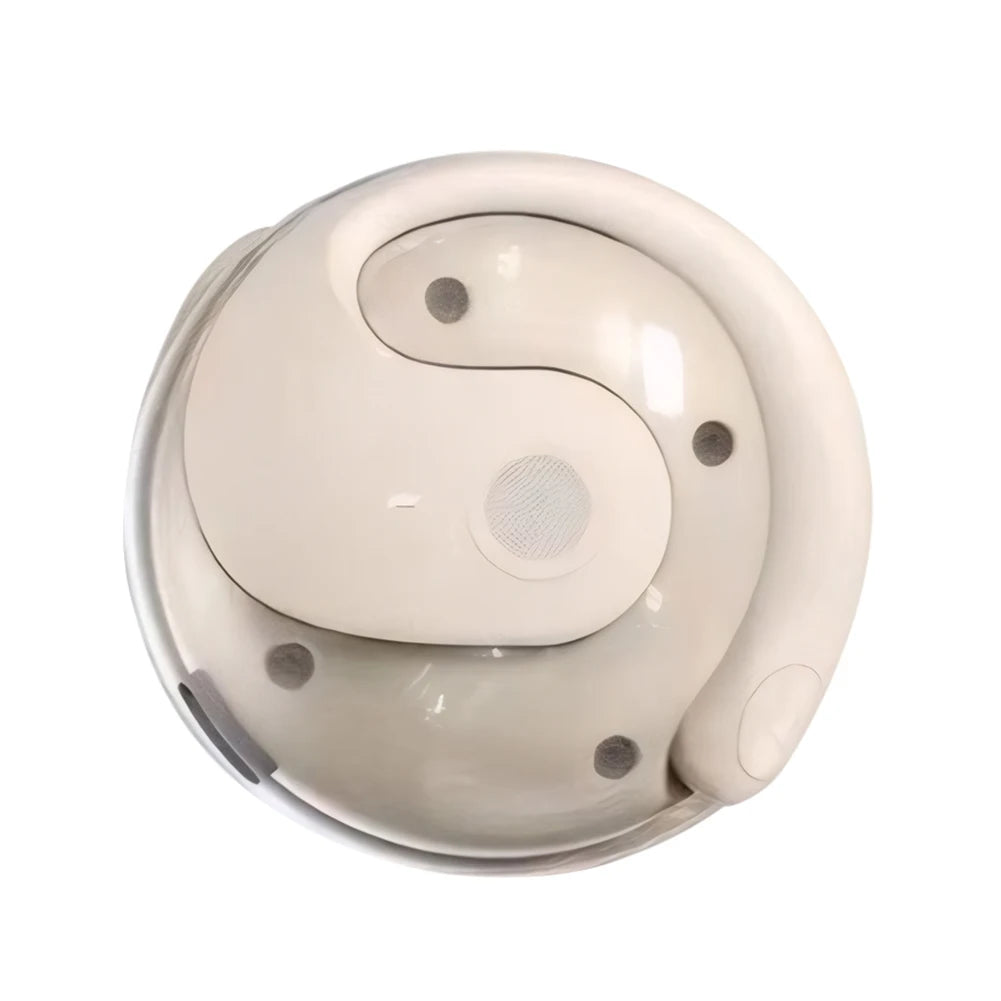 Wireless BT AI Translation Earbuds 99%