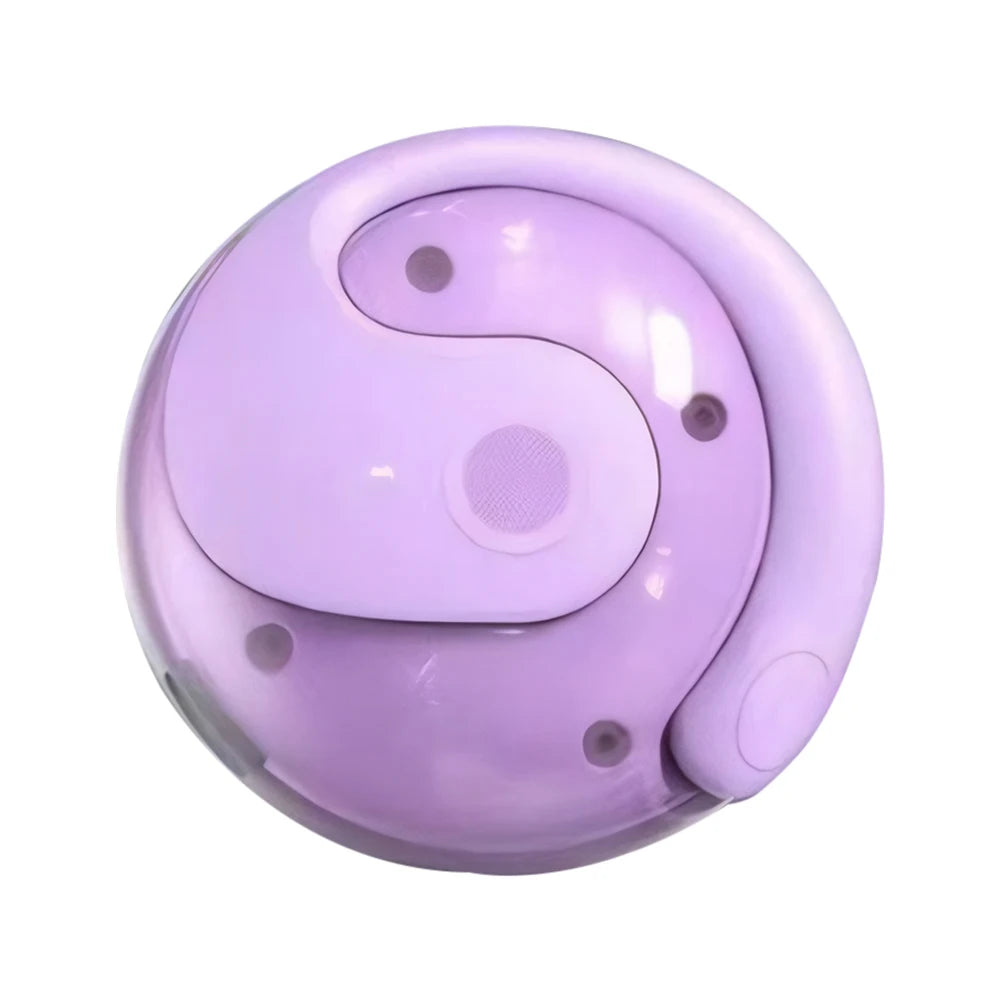 Wireless BT AI Translation Earbuds 99%