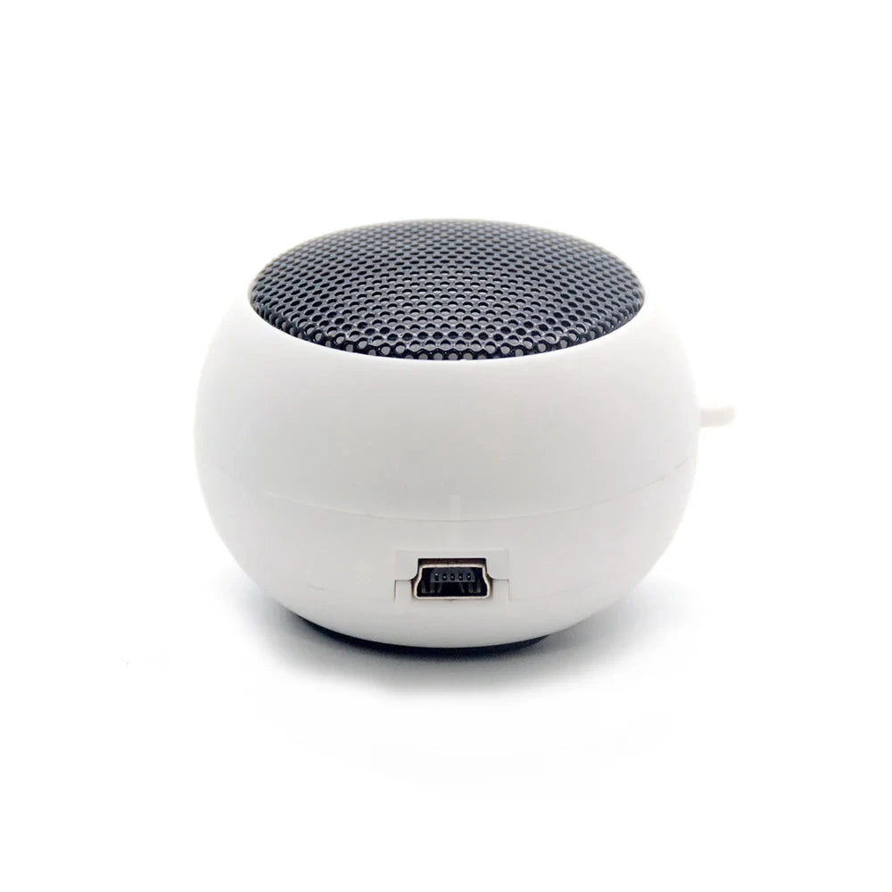 3.5mm Aux Mini Portable Speaker