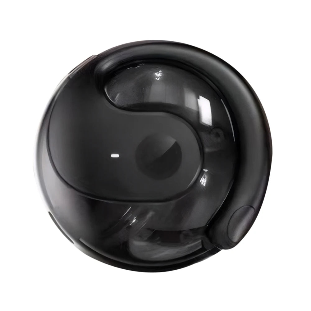 Wireless BT AI Translation Earbuds 99%
