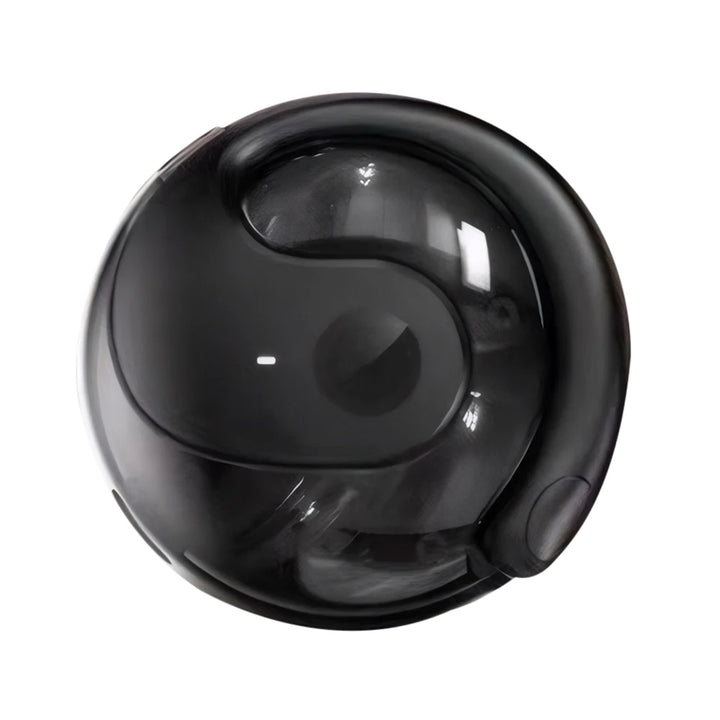 Wireless BT AI Translation Earbuds 99%